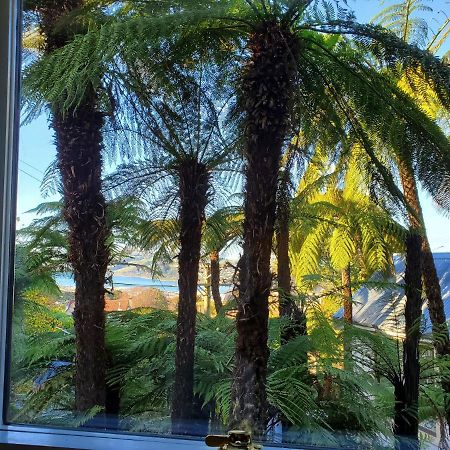شقة Koru Flat ديوندين المظهر الخارجي الصورة